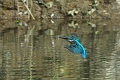 19 03 15_2540_edited-1